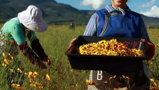 神奇维药年销售破亿，没想到它也是名贵维药