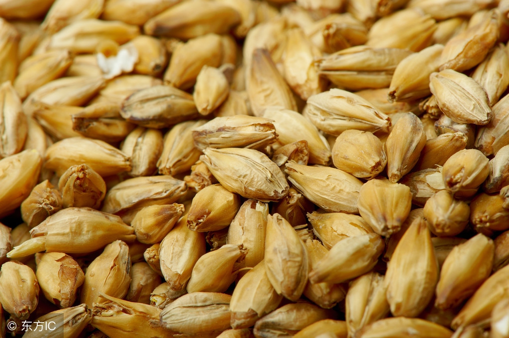 用药一定要遵医嘱不可听信偏方,4种补药吃多了变毒药