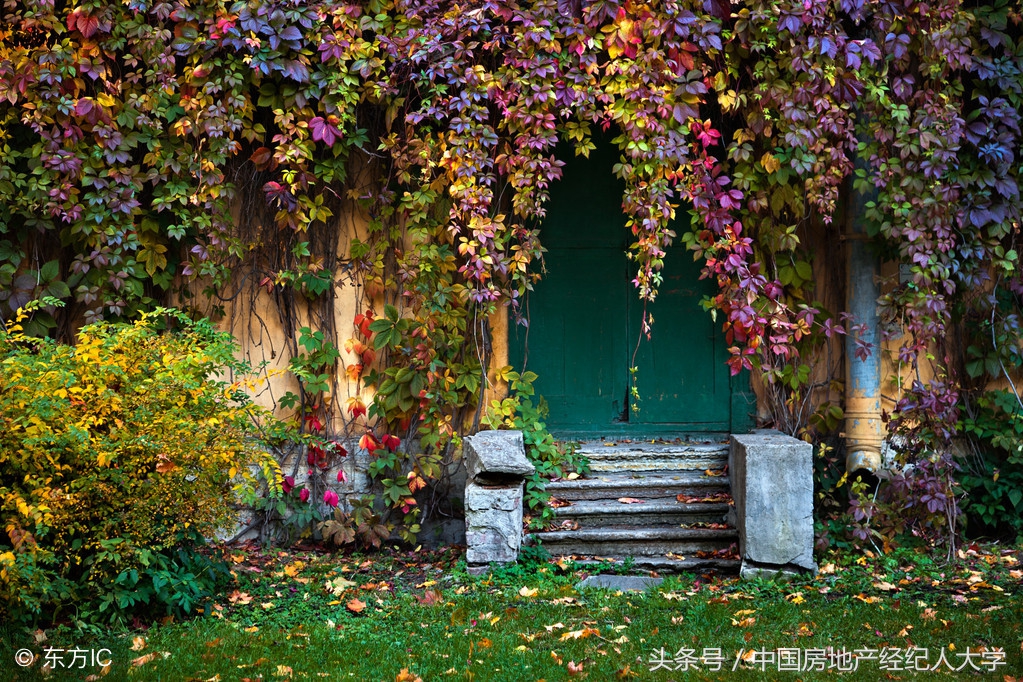 买房买几层好揭秘1到25层优缺点,买房买几层好揭秘1到22层优缺点