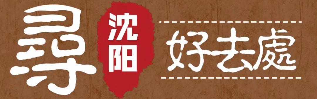 沈阳有什么大型游乐场吗,沈阳龙之梦游乐场门票多少钱