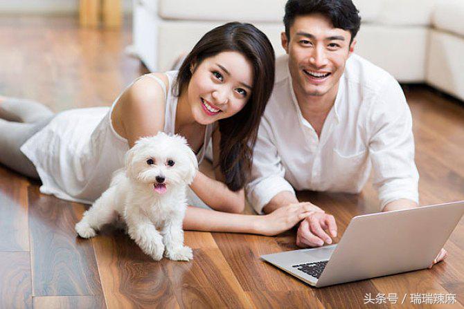 宠物狗皮肤病种类有哪些,宠物狗各种皮肤病的症状表现