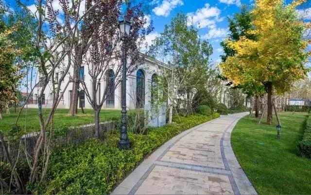 天津最贵物品,天津最贵的产品