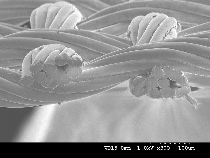 10问大力马（DYNEEMA）：论科普与装逼的方式方法