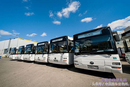 世界杯2018都有哪些队,2018世界杯的惊天秘密