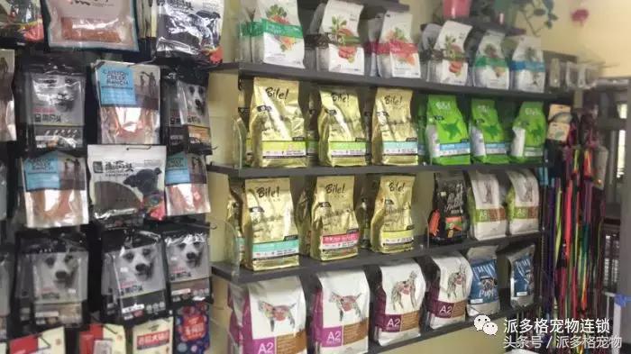 派多格宠物店卖什么,派多格宠物店资质