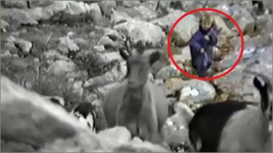 克罗地亚足球最辉煌的时期,足球经典比赛回顾克罗地亚