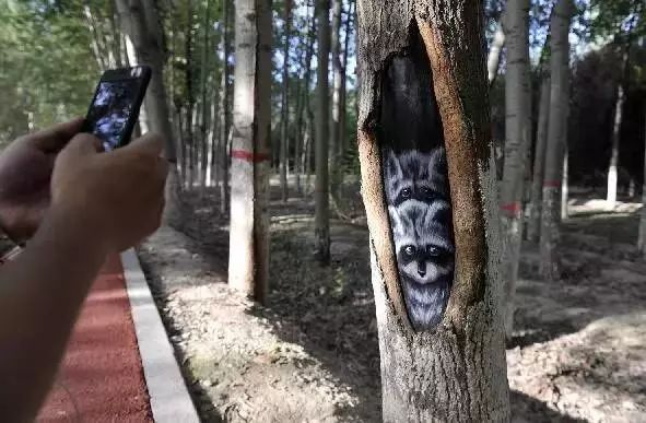 十一银川免费一日游推荐,宁夏十一一日游