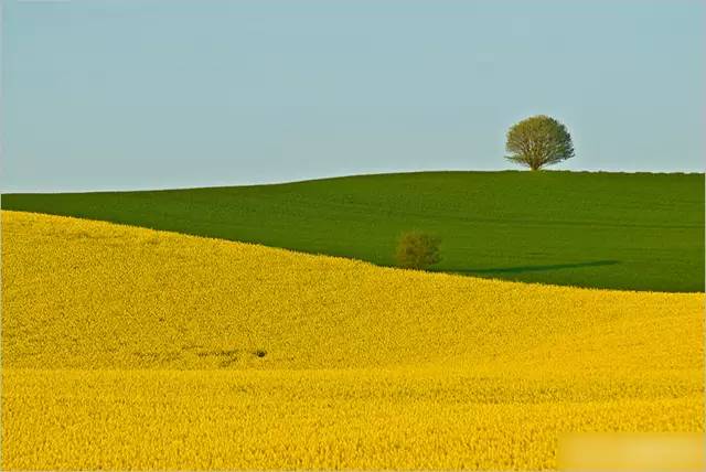 玩摄影你必须掌握这12条黄金法则,10个经典摄影秘诀