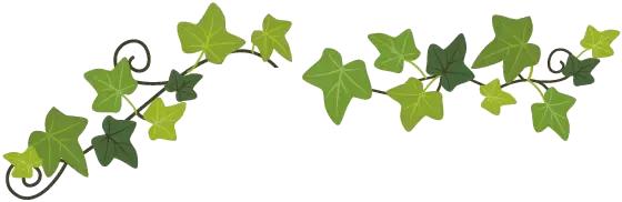 面膜究竟有没有用,面膜有医用的吗