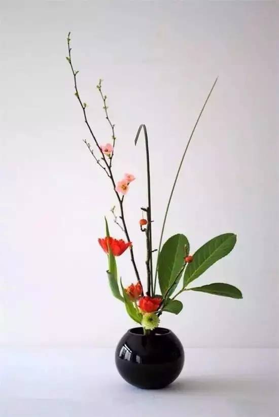 惜命的最好方式竟然不是养生,惜命最好的方式不是养生而是管理