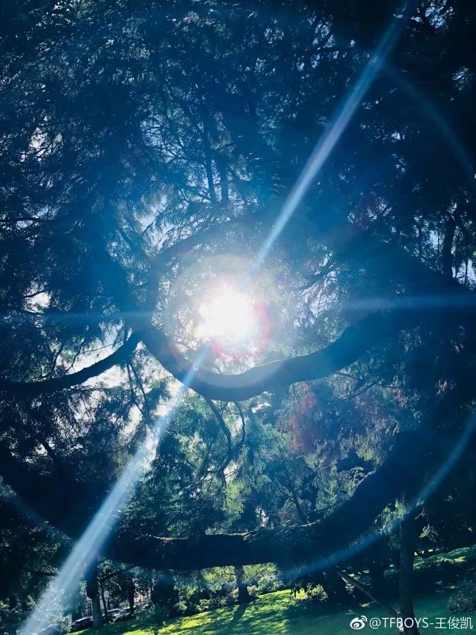 除了法国足球和国庆日，童话小镇也是解锁法式浪漫的方式