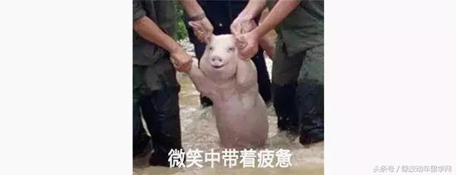 留学顾问去留学,留学顾问帮