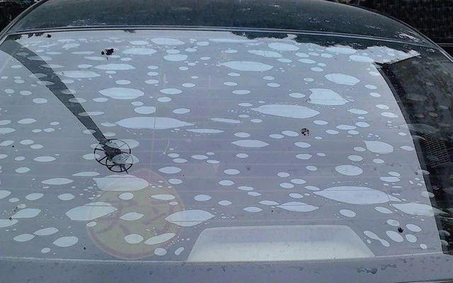 给汽车贴膜要注意哪些问题,汽车贴膜的细节你了解多少