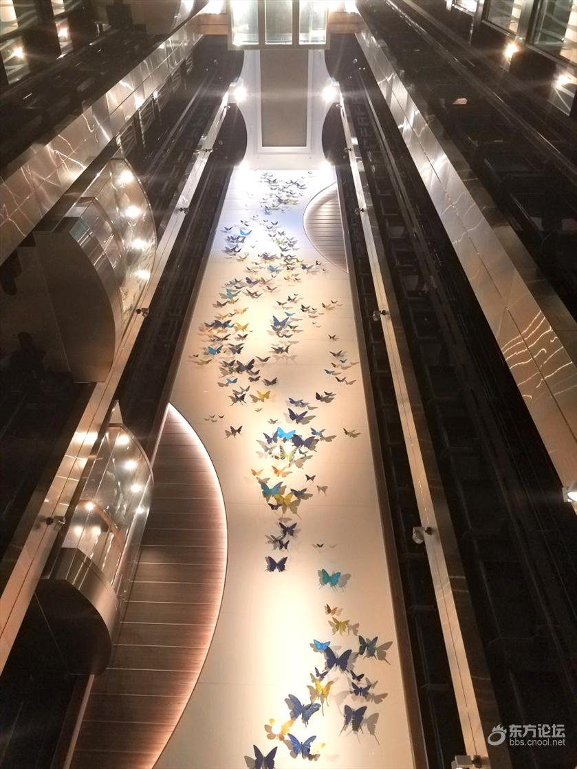 皇家加勒比游轮量子号游记,坐海洋量子号游轮旅游攻略