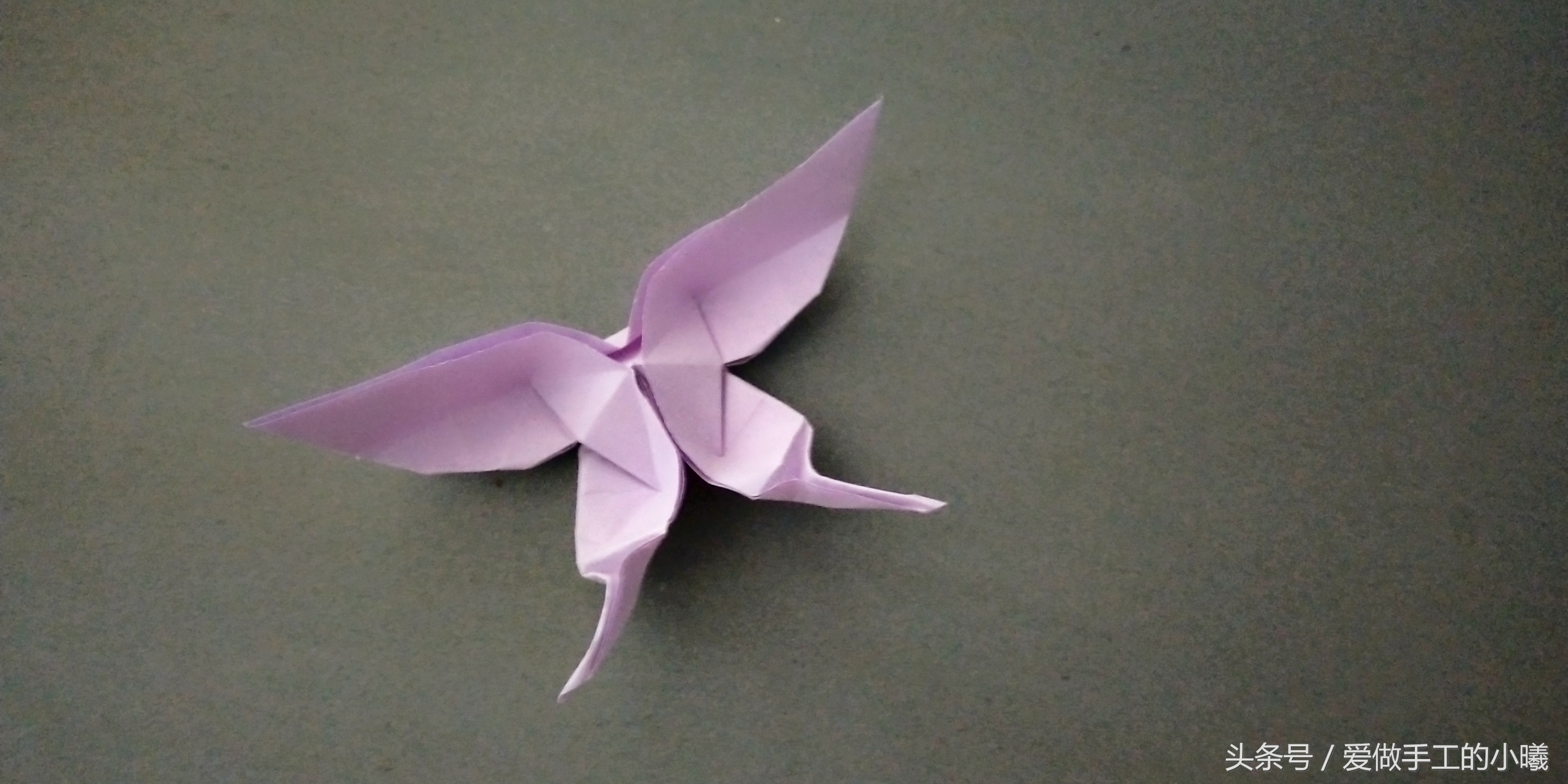 蝴蝶折纸教程看过来,所有蝴蝶折纸教程