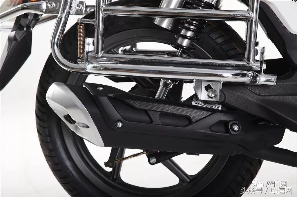 钱江龙御龙猛龙飞龙哪个好,猛龙御龙钱江龙