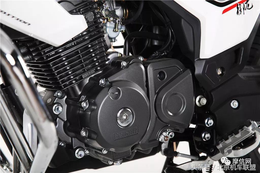 猛龙御龙钱江龙,钱江新御龙多少钱