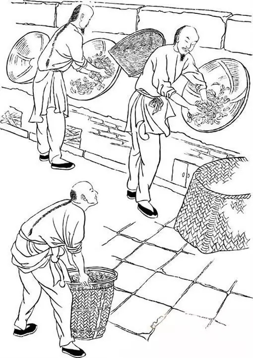 大红袍制茶工艺流程,大红袍还原烧工艺