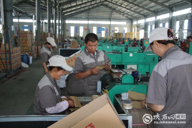 彬州融诚集团农业有限公司,创新添活力助力扶贫