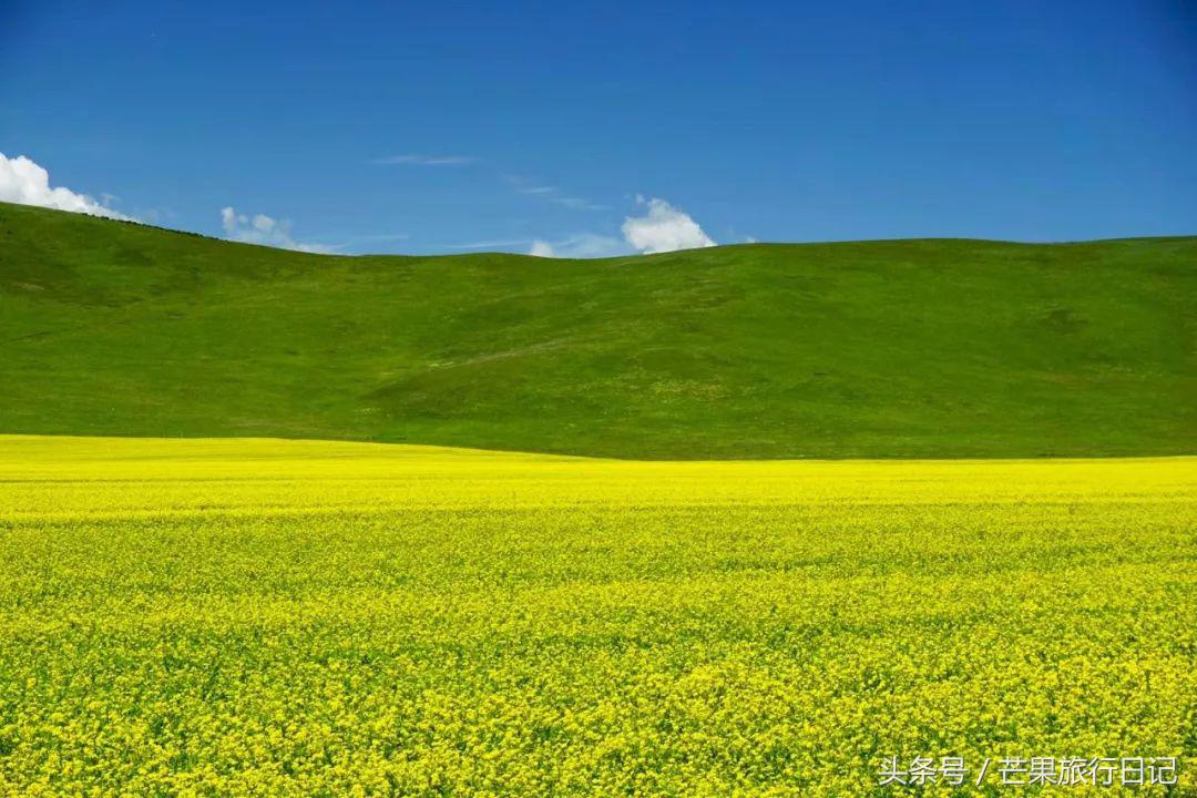 大美青海7月最美的风景,四川青海旅游十大必去景点
