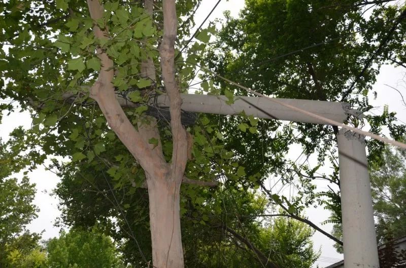 法院采取保全措施的具体体现,法律手段坚决捍卫自身正当权益