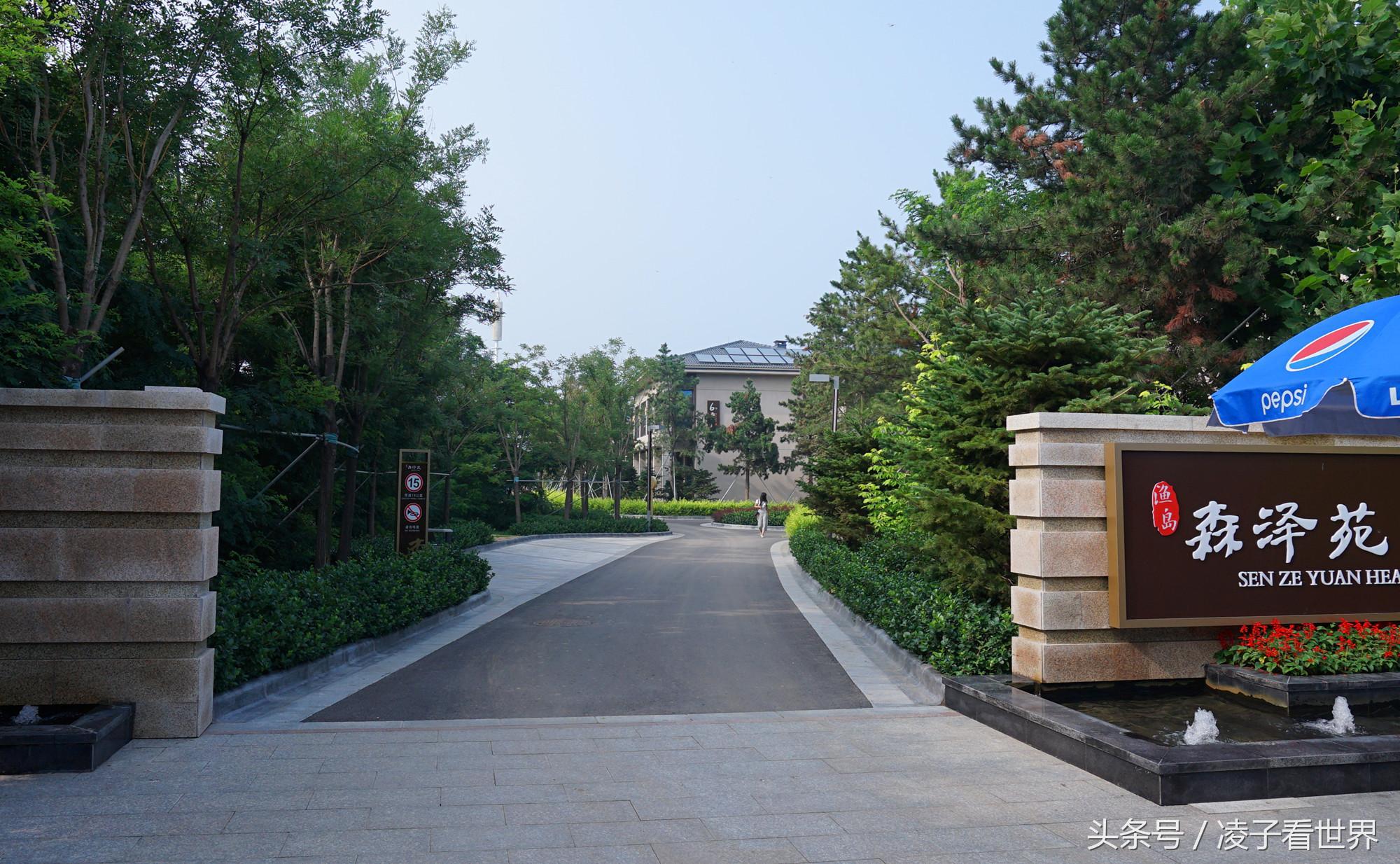沙滩拾贝壳景区,沙滩花海美景