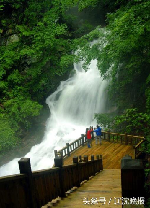 百里枫叶红一条开拓路｜辽宁名片寻访录17