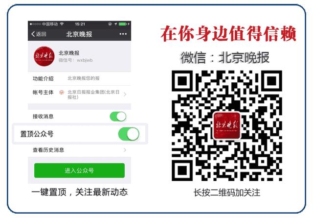 世界上目前发现大的蛇,世界上发现琥珀蛇