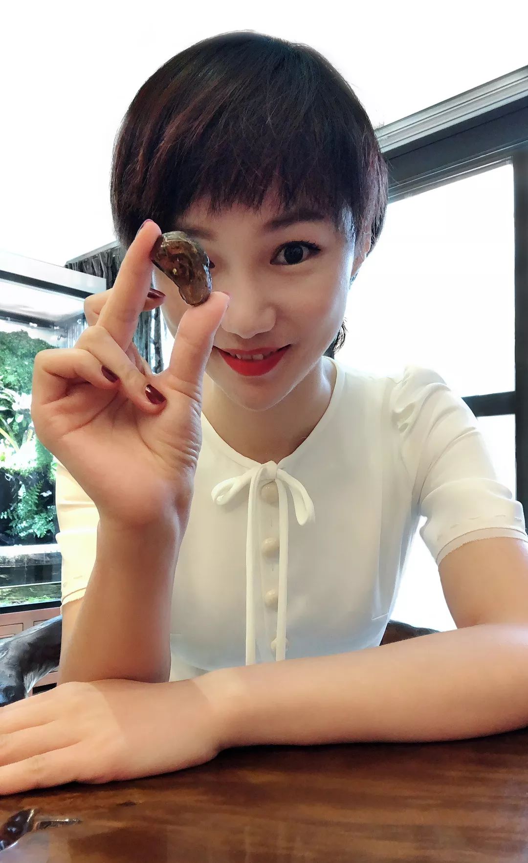 全球首次在琥珀中发现蛇 (琥珀中第一次发现蛇来自9000年前)