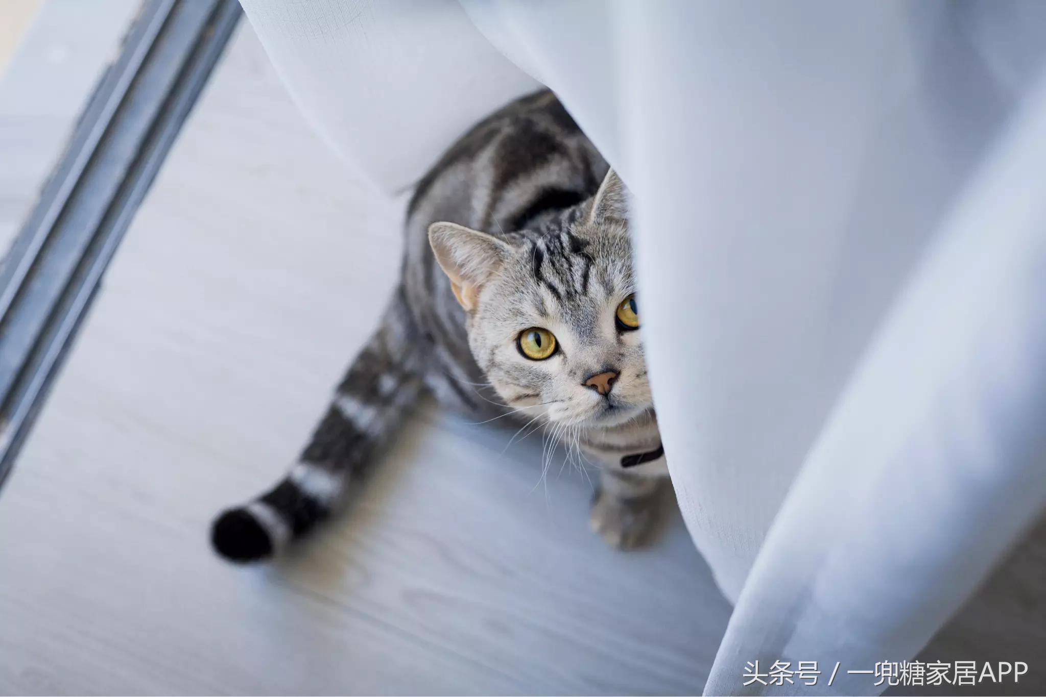 手指褪皮，用坏6对手套，90后美女爆改破旧公寓，是我小瞧你了！