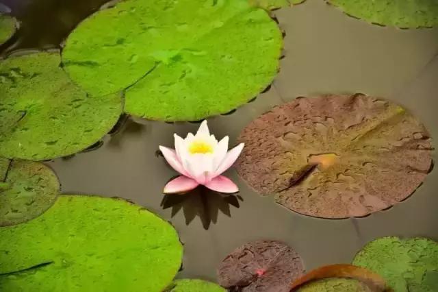 重庆可遮雨户外烧烤的地方,重庆高温消暑的地方