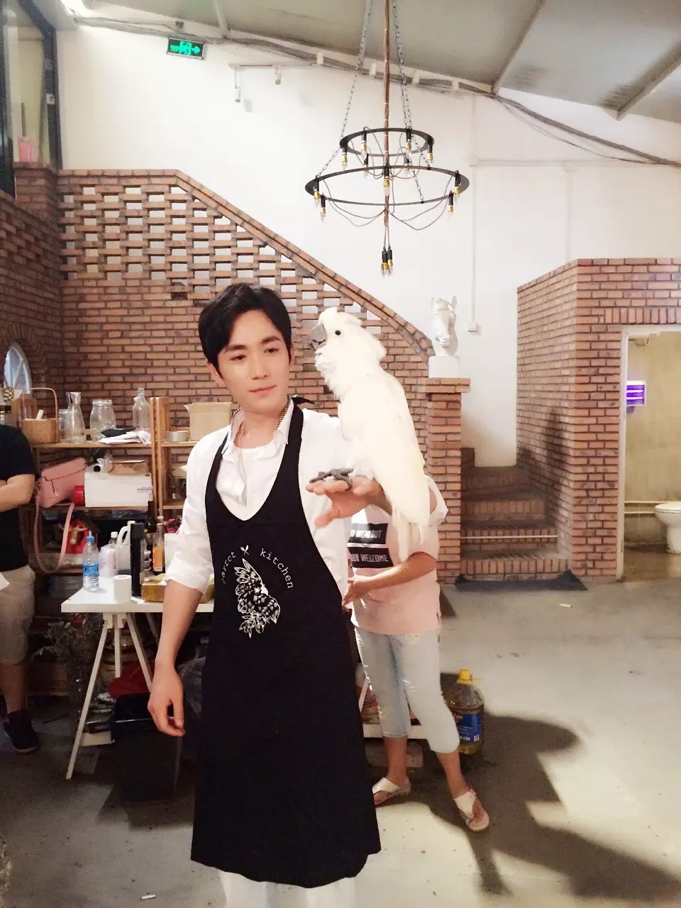 沈教授和朱一龙谁厉害,沈教授朱一龙现状