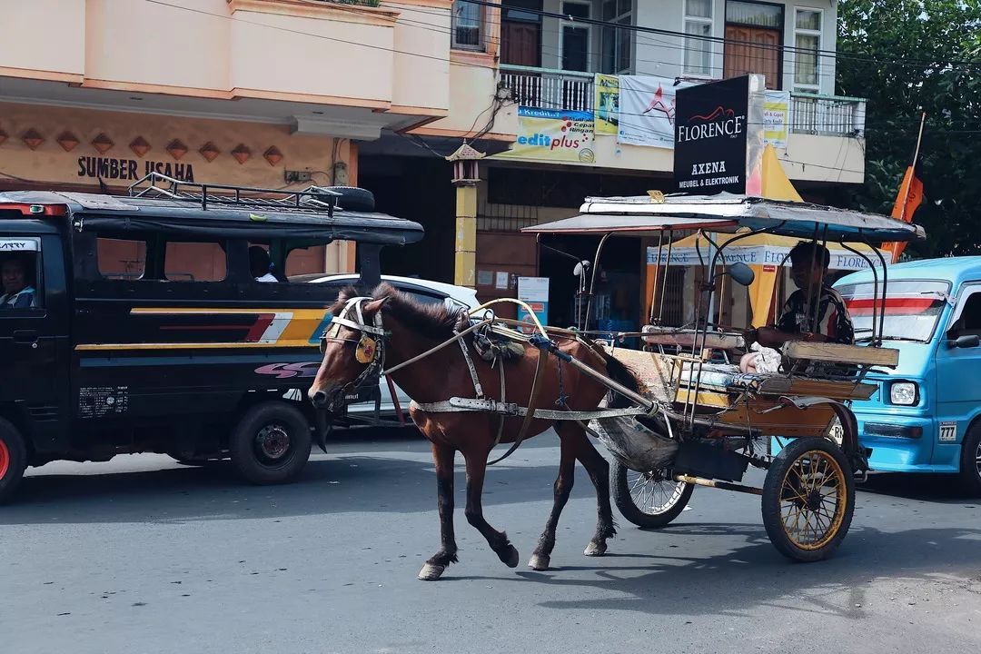 印尼美娜多潜水,印尼美娜多潜水考证