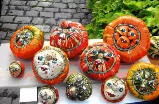 农旅项目盈利模式,农旅创业项目