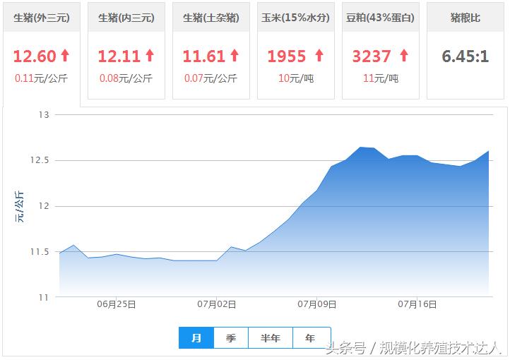 2018年4月5日全国生猪价格及走势,2019年4月25日全国生猪价格行情