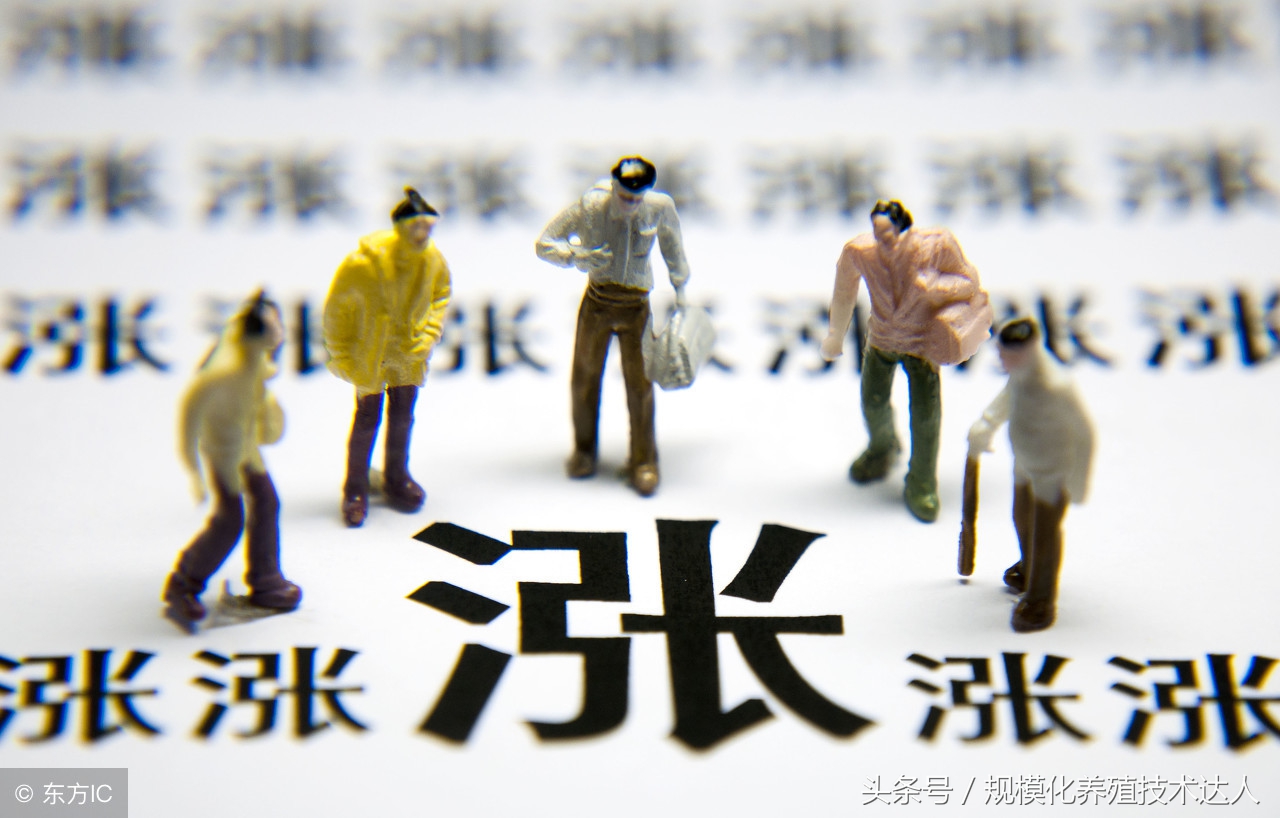 2018年4月5日全国生猪价格及走势,2019年4月25日全国生猪价格行情