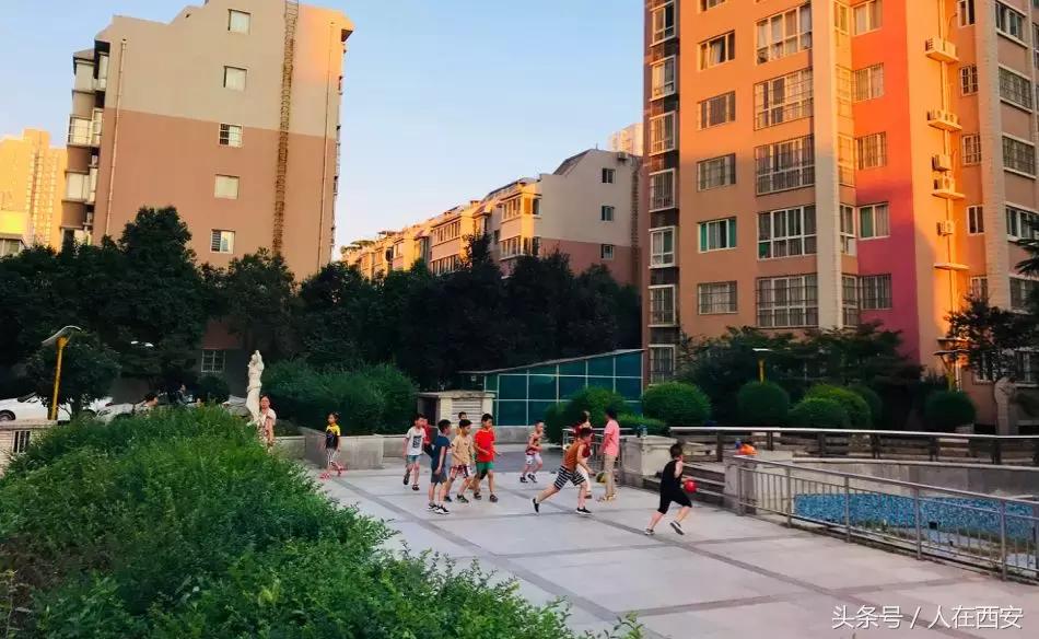 悦明园里的半条土路……