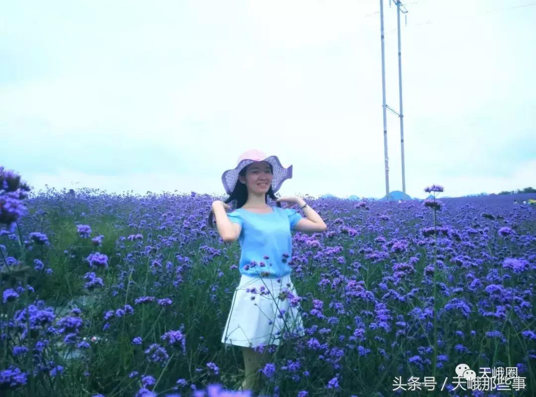 鎮﹁澶╁湴涔︽硶瑙嗛,鎮﹁澶╁敞