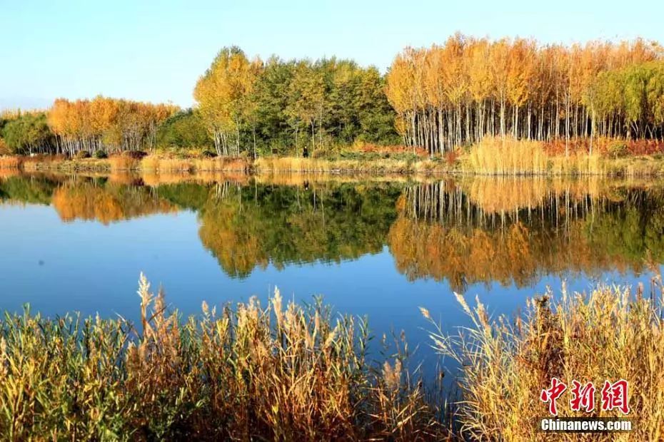 惜命的最好方式竟然不是养生,惜命最好的方式不是养生而是管理