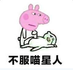 小猪佩奇掌声表情包,小猪佩奇身上纹掌声送给人出处