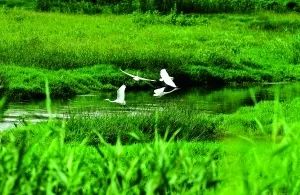 疏解非首都功能政策,抓住城市治理的牛鼻子