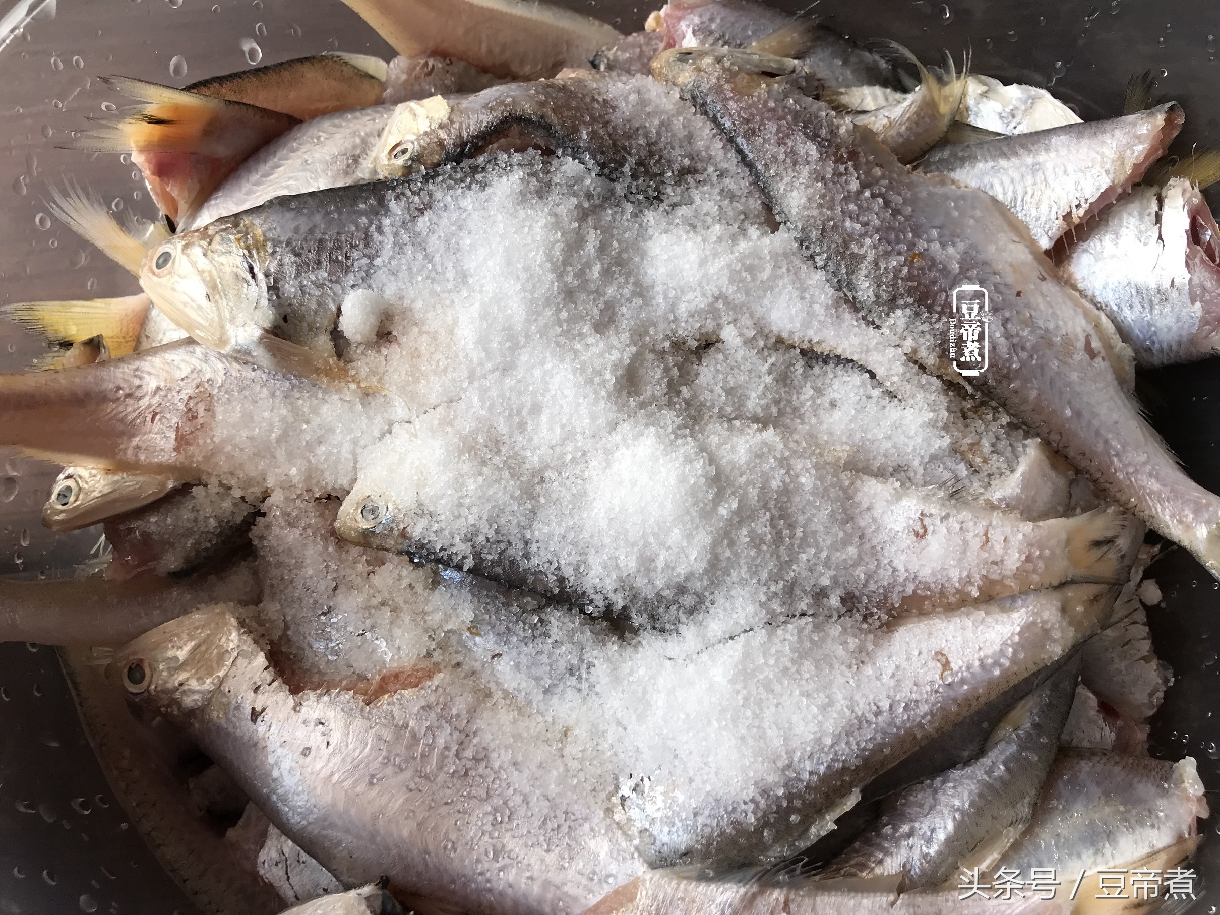 刀鱼的正宗做法大全,最好的刀鱼做法