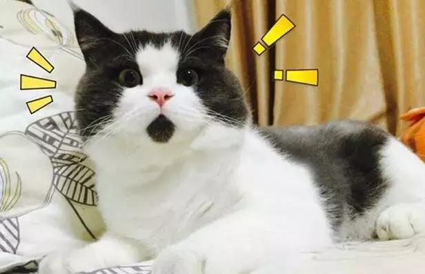 山寨微信语音是骗人的吗,山寨微信转发语音有危险吗