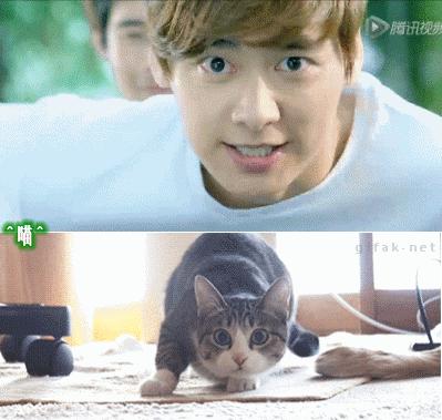 赵丽颖最新时尚大片曝光被嘲土,赵丽颖拍戏被黑