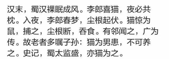 男不养猫？你这么会讲话，一定没有姑娘要你这条单身狗吧