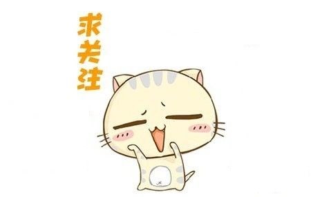 木蠹虫的克星,家里木板有白蚁怎么消灭