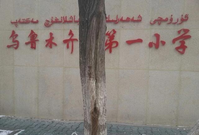 新疆乌鲁木齐的教育水平最高,乌鲁木齐各区教育资源分配