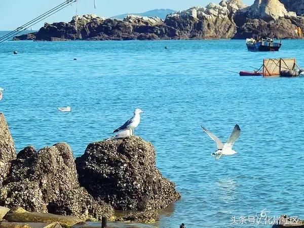 不用签证可以去的岛屿,不花钱的海岛旅行