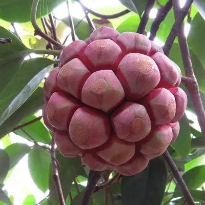 只赚不赔的小本生意大全,利润很吓人的10种生意商机