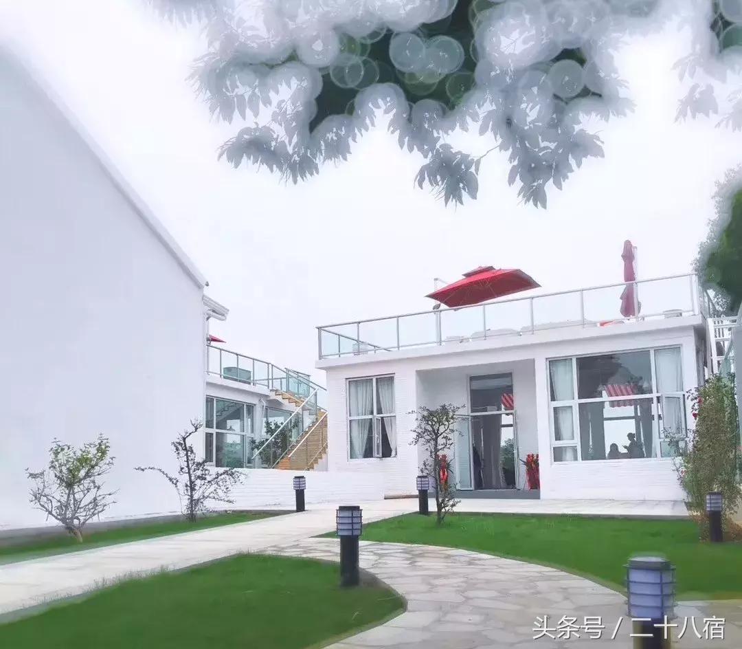 她在南京,南京谷里熏衣草庄园最佳观赏期